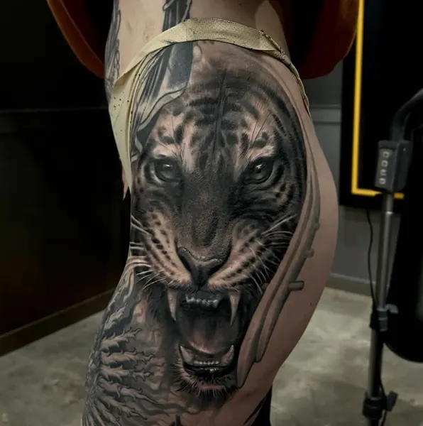 Tiger, 재규어, 치타