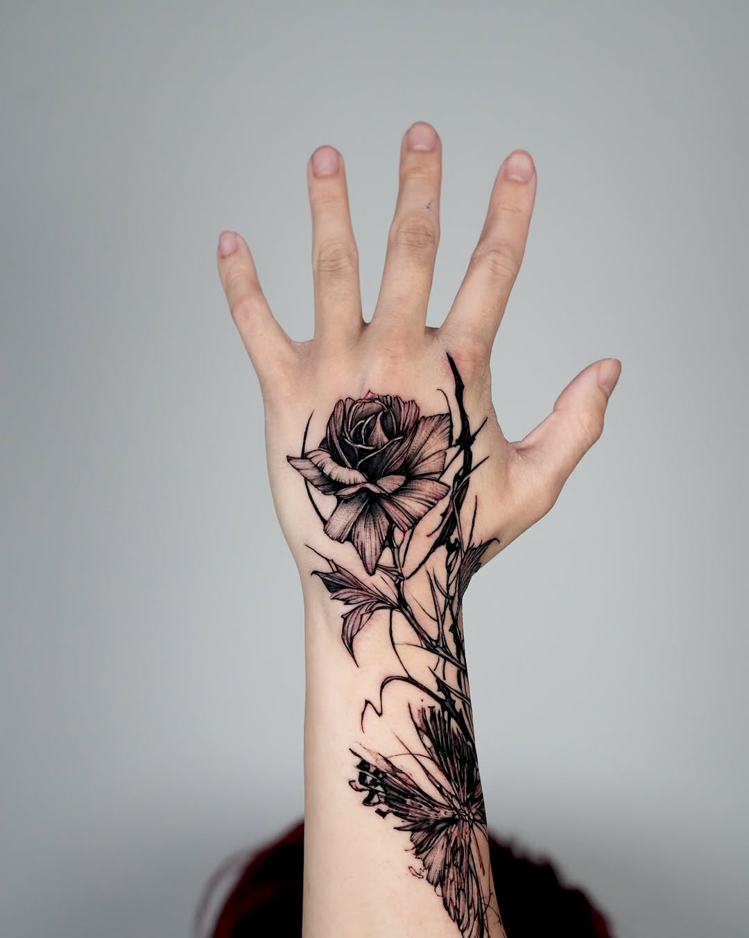 Flower, Rose