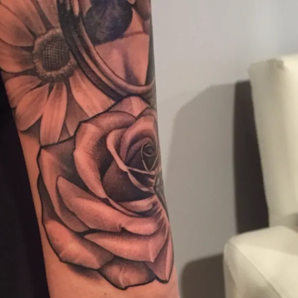 Flower, Rose