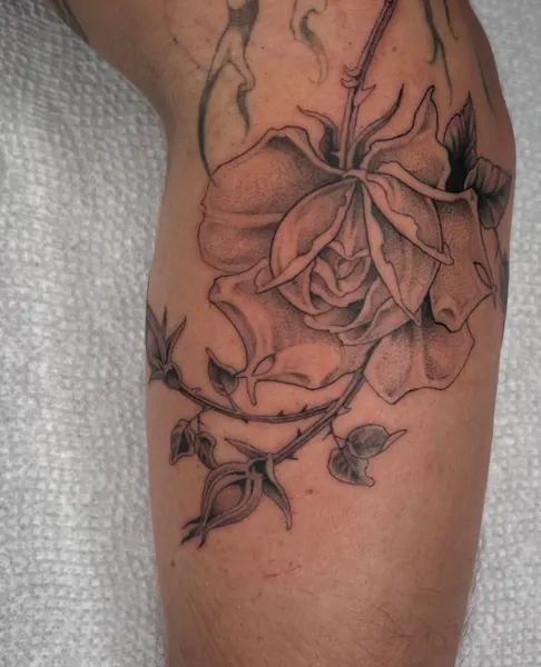 Flower, Rose
