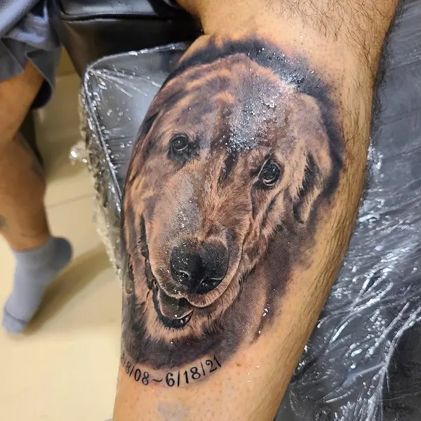 Animal, 강아지, 충성