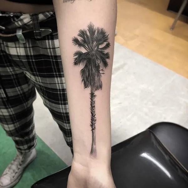 Flower, Rose, 야자수