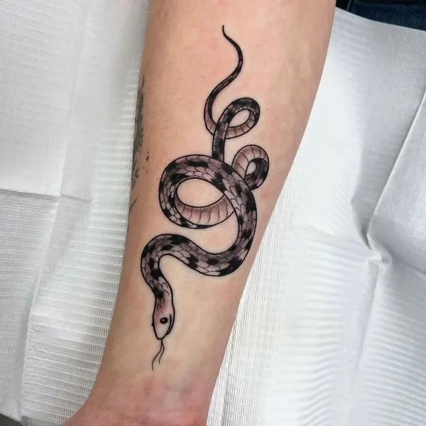 Dragon, Snake