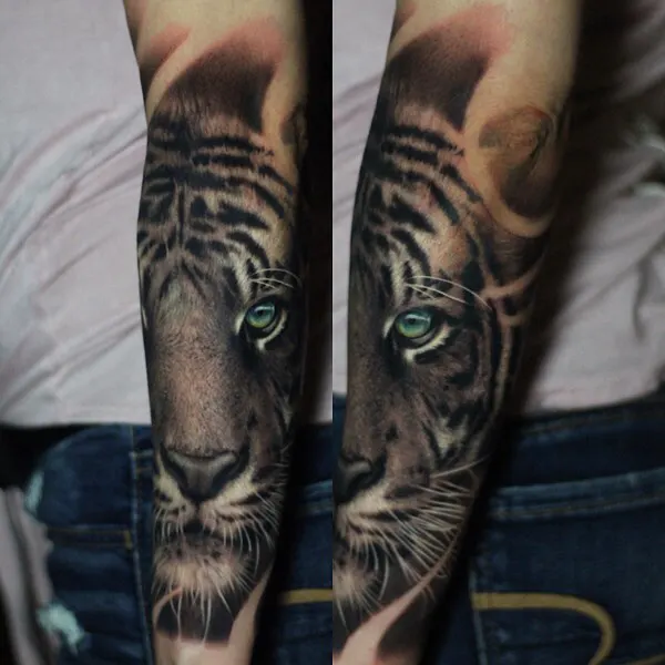 Tiger, 중국 호랑이, 한국 호랑이, 일본 호랑이