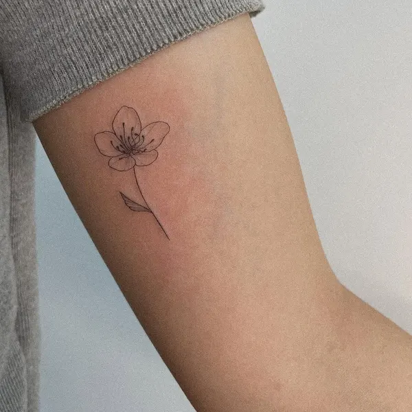 Flower, 데이지, 민들레, 해바라기