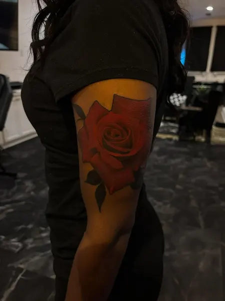 Flower, Rose, Nature