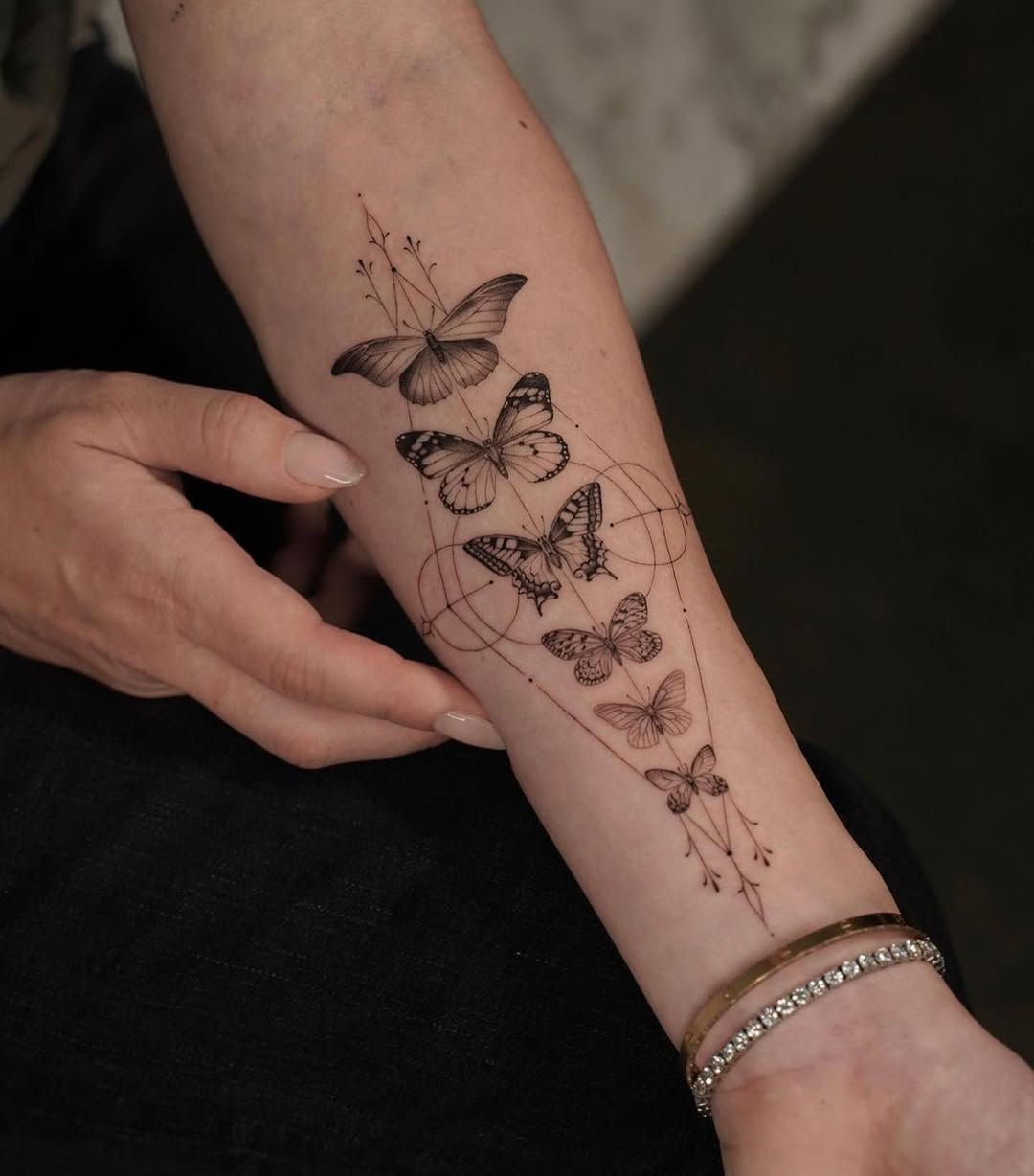 Nature, Animal