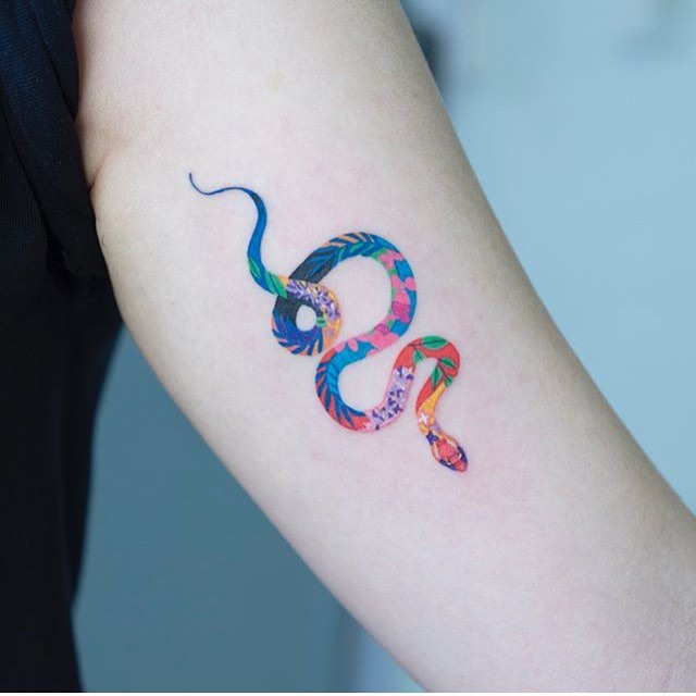 Dragon, 리본, 게자리
