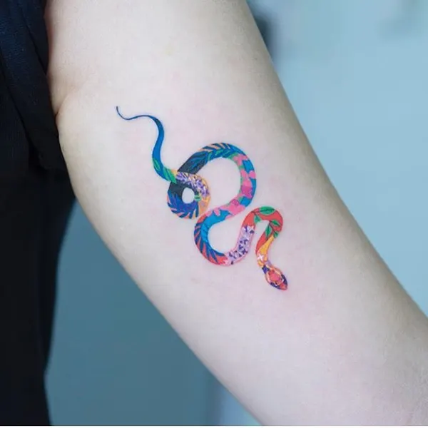 Dragon, 리본, 게자리