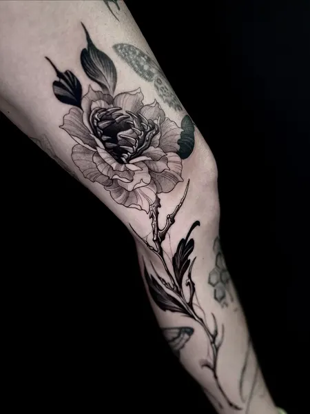 Flower, Rose