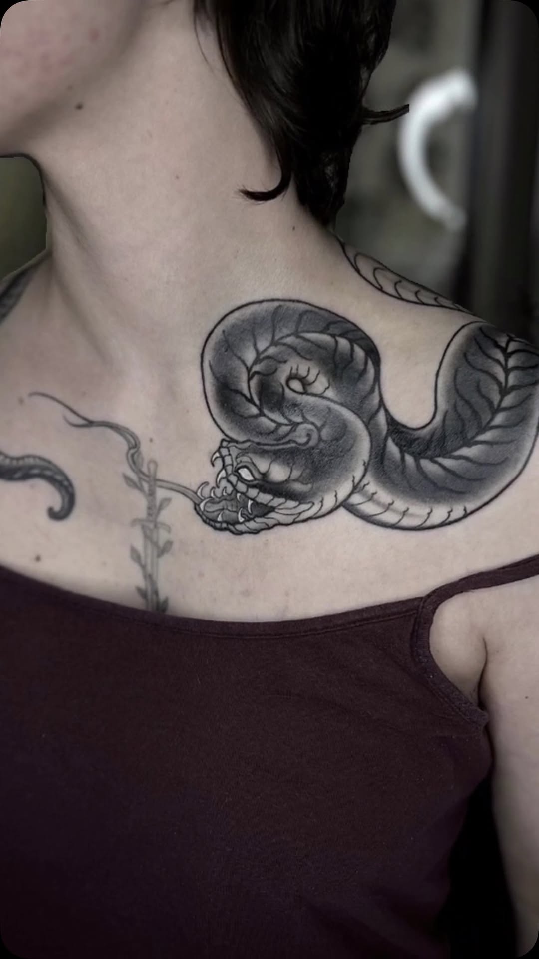 Dragon, Snake