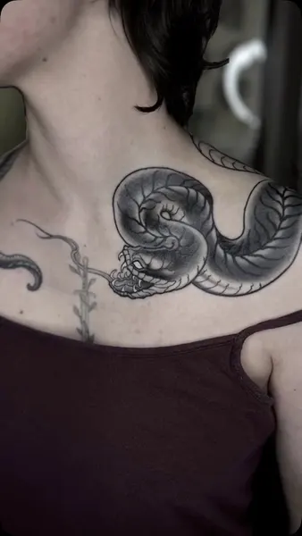 Dragon, Snake