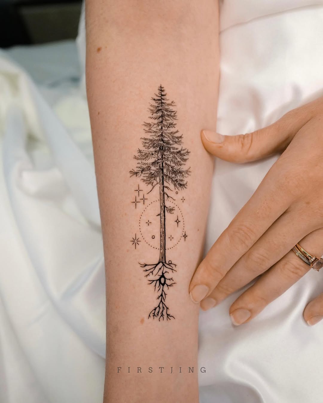 풀, Nature, 멘디, 뿌리, 숲, 나무, 고사리, 단풍잎, 대나무, 소나무, 실루엣, 야자수, 나뭇가지, 큰 타투, 번개, 치유, 허브, 카네이션, 올리브 가지, 플래시 타투