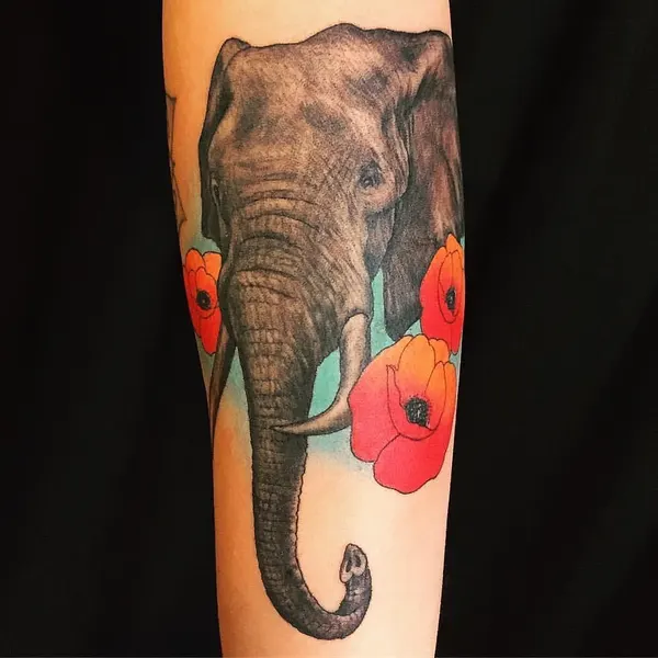 Flower, 코끼리