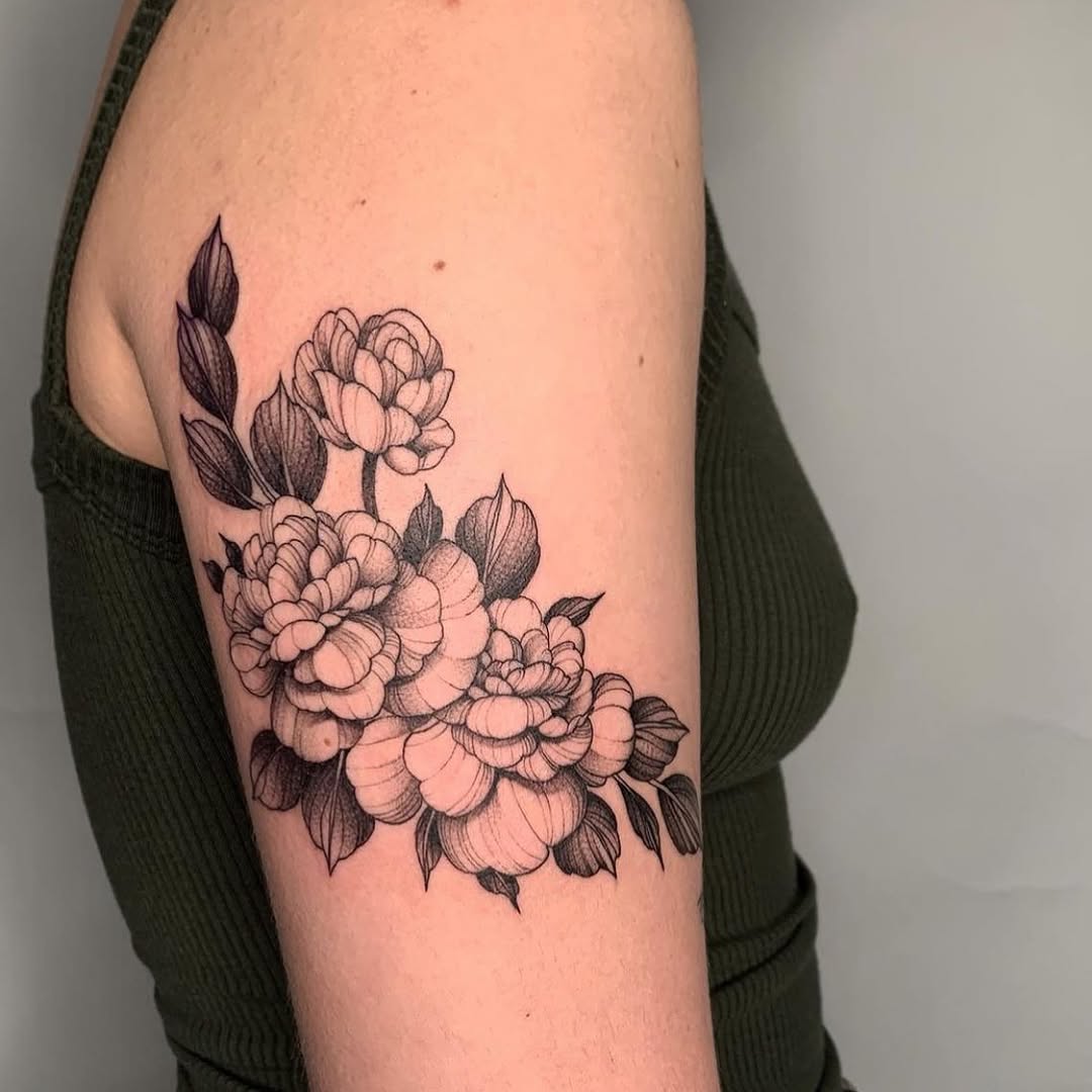 Flower, Rose, Nature, 목련