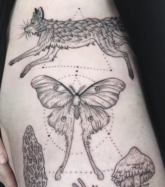 Animal, Nature