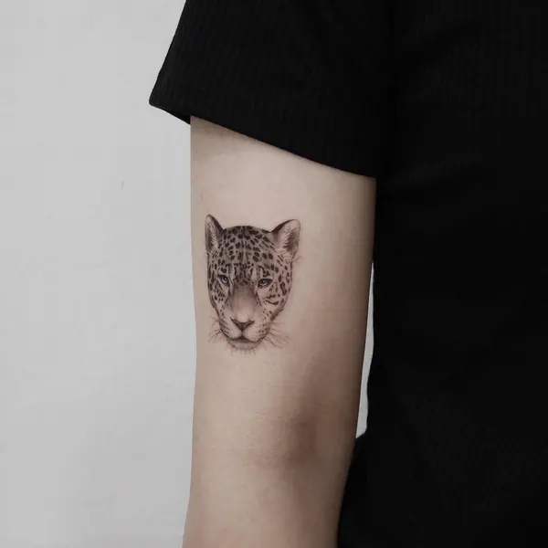 Animal, 치타, 팬서, 표범, 재규어, 여우 가면
