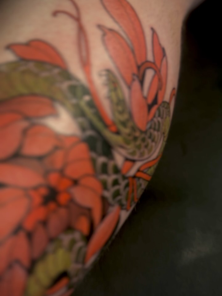 Dragon