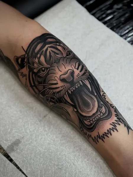 Animal, Tiger
