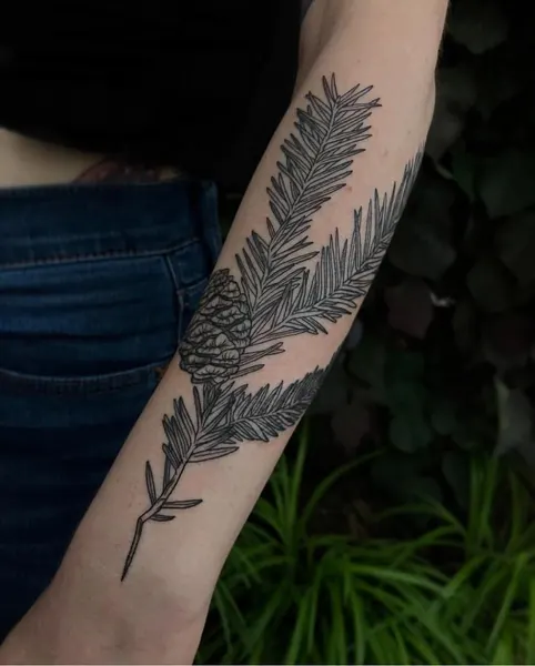 Flower, 고사리