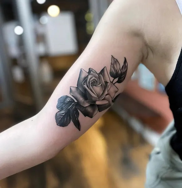 Flower, Rose, Nature