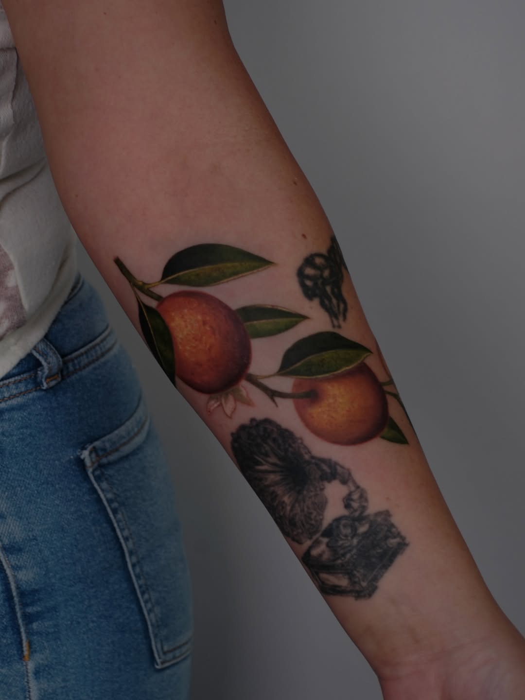 Flower, Rose, 사과, 석류, 과일, 레몬, 목련, 올리브 가지