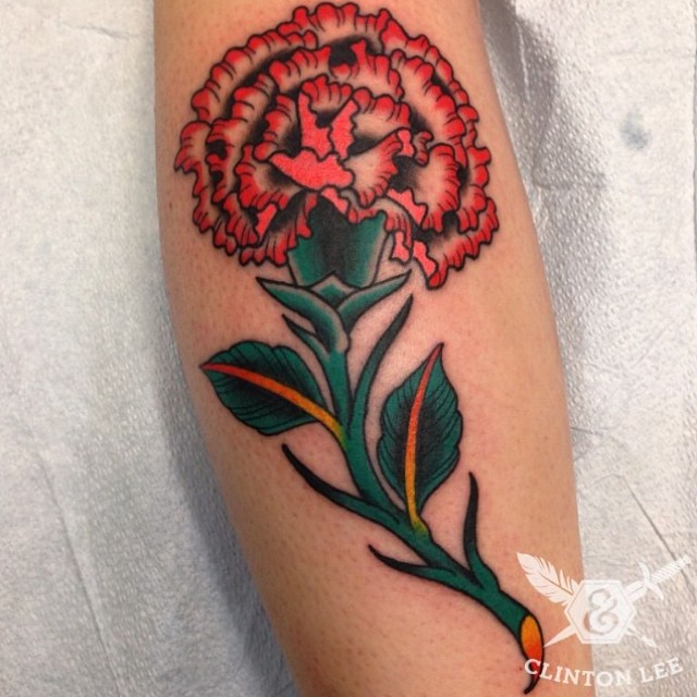 Flower, Rose, 국화