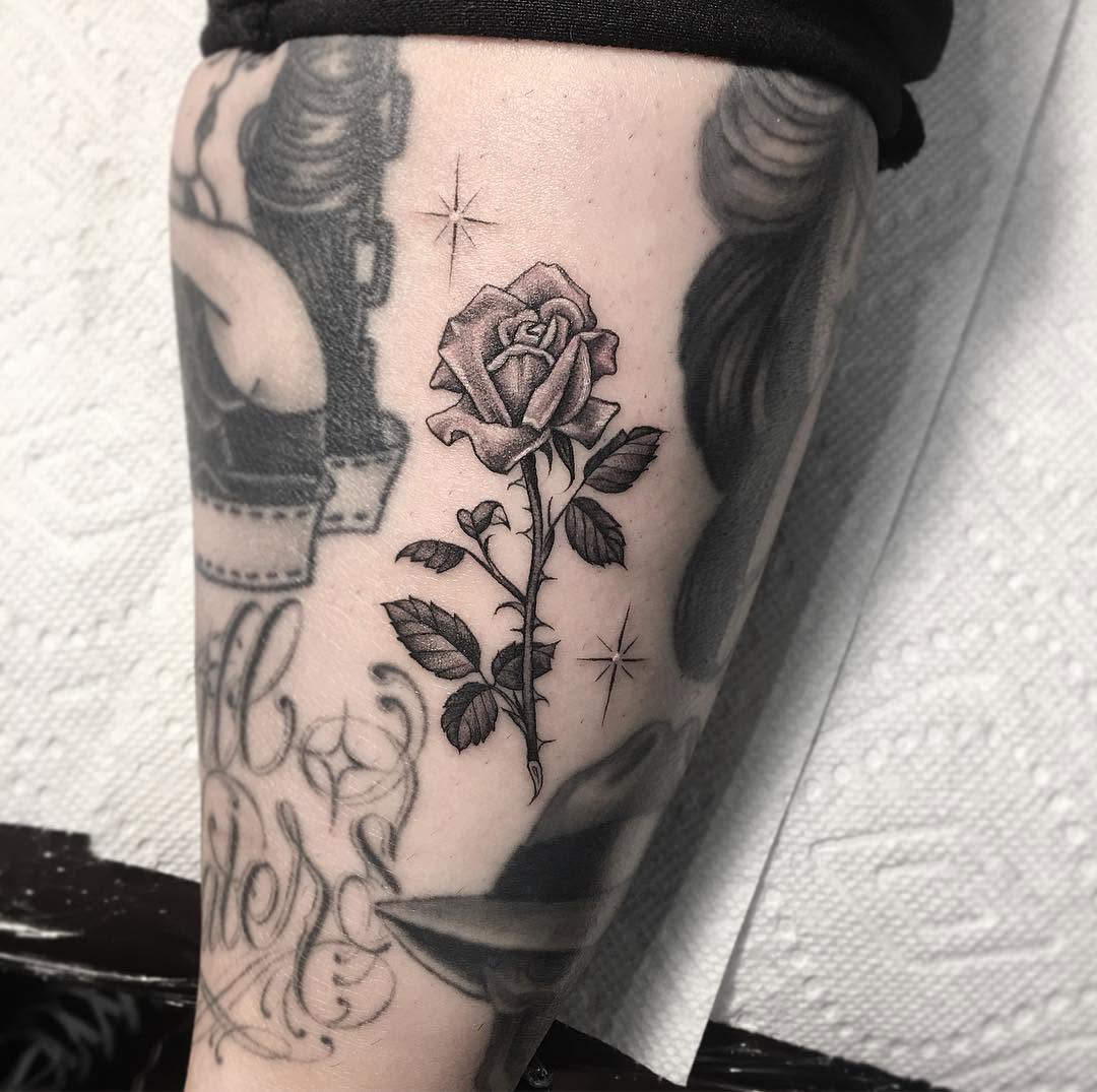 Flower, Rose