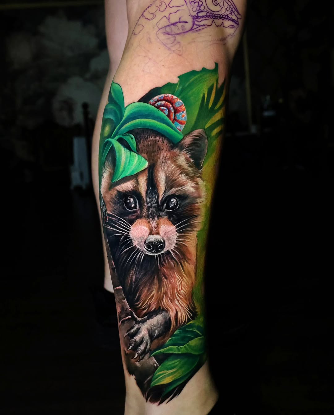 Animal