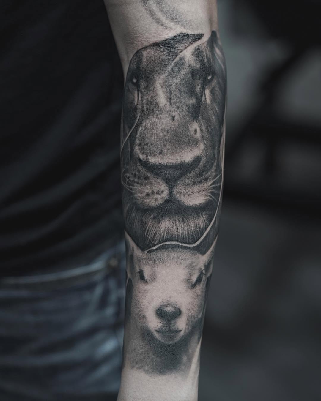 Tiger, 곰, 멧돼지, 판다, 다람쥐, 코알라, Animal