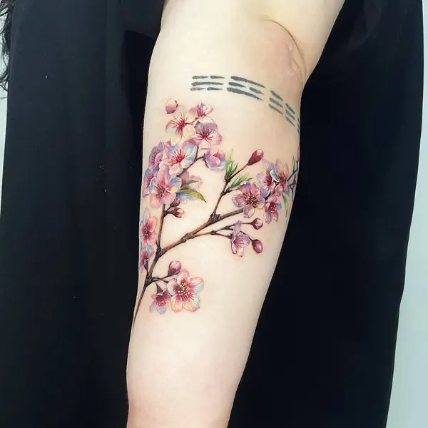 Flower, 매화, 목련, 벚꽃, 사쿠라