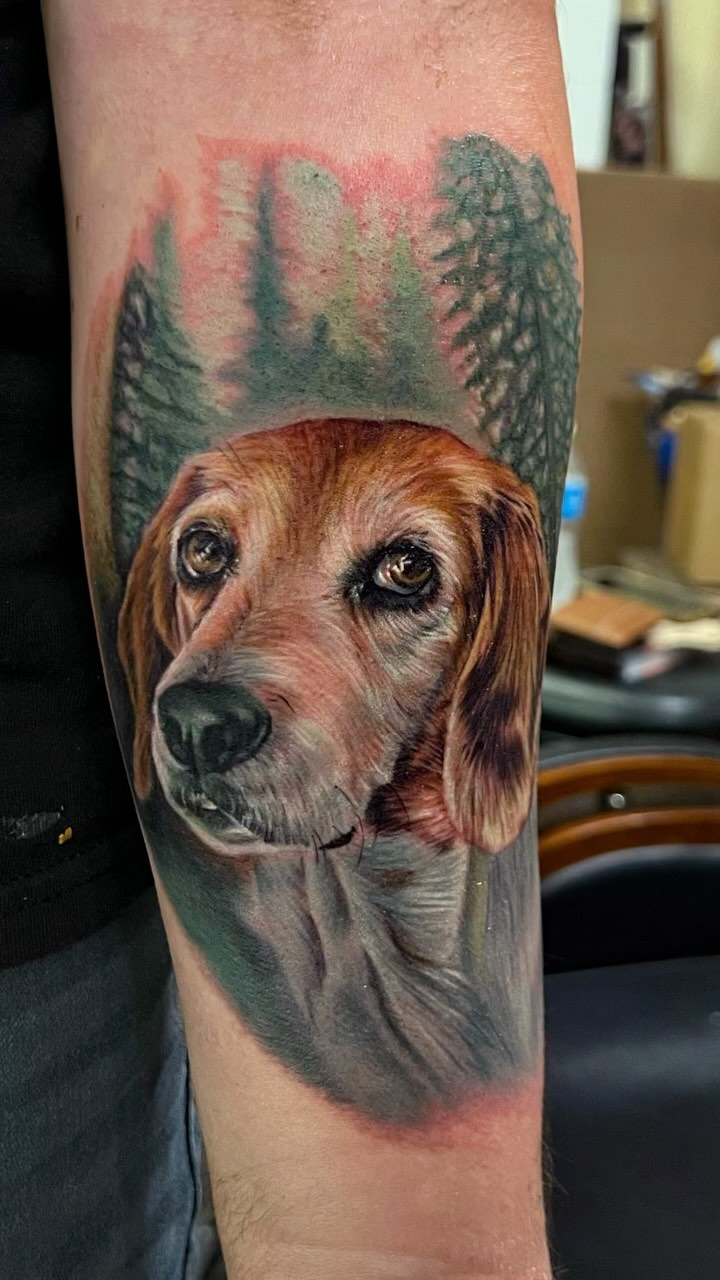 Animal