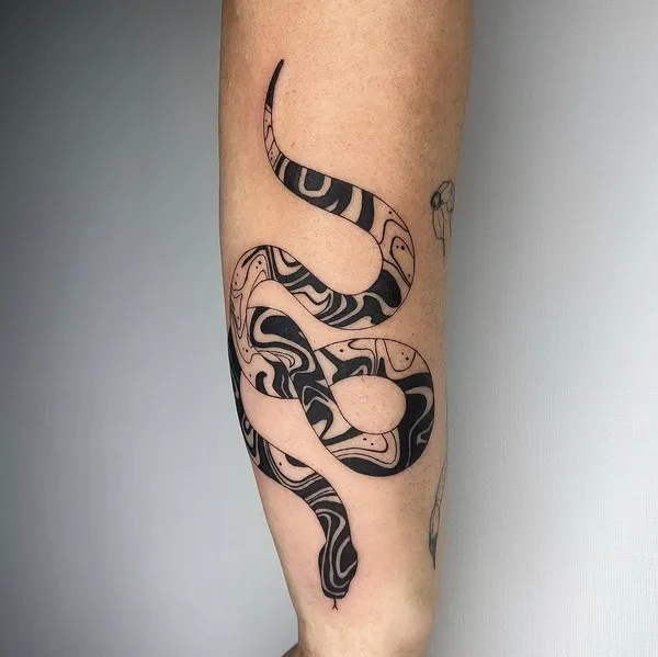 Dragon, Snake