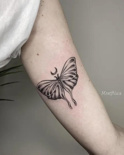 Animal, Nature, 나방, 나비