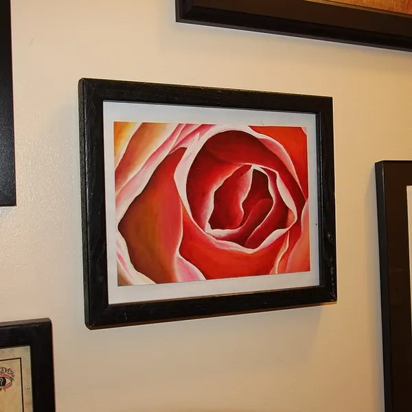 Flower, Rose