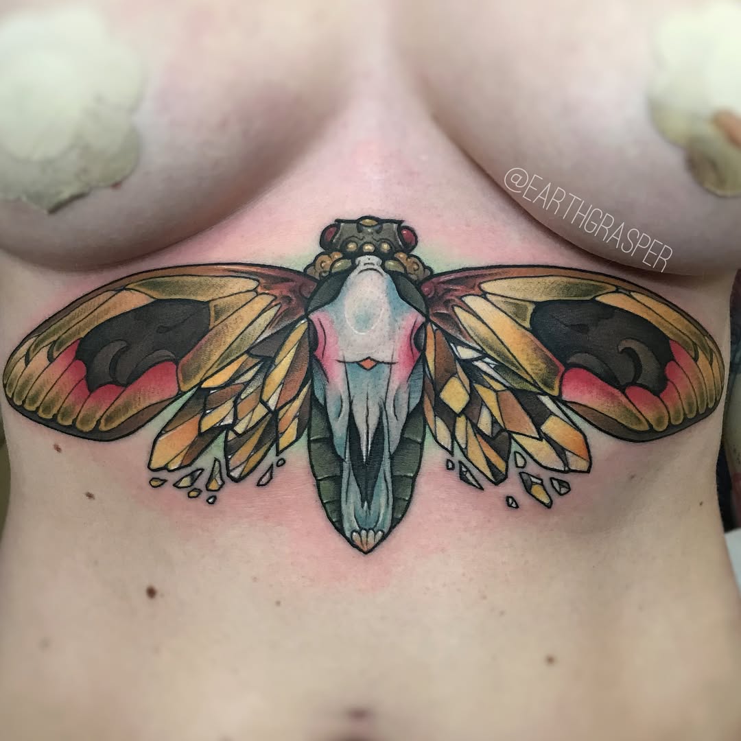 Animal, Nature, 나방