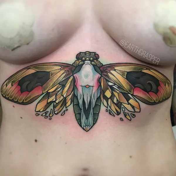 Animal, Nature, 나방
