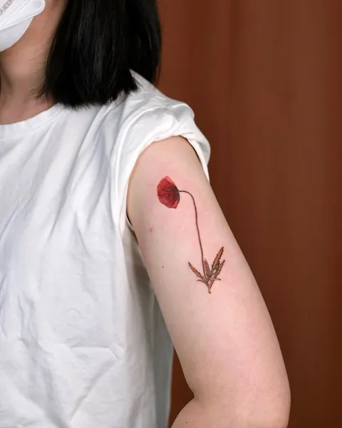 Flower, Rose, 양귀비