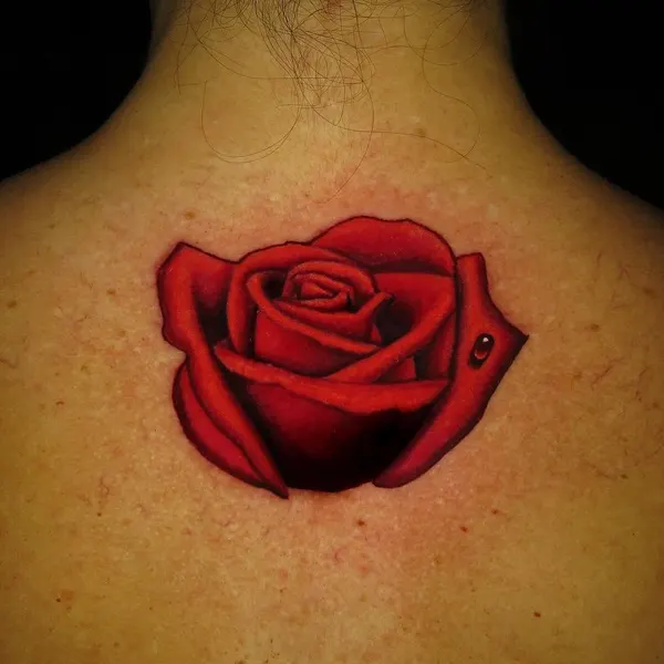 Flower, Rose, Nature