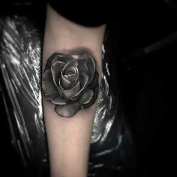 Rose, Flower