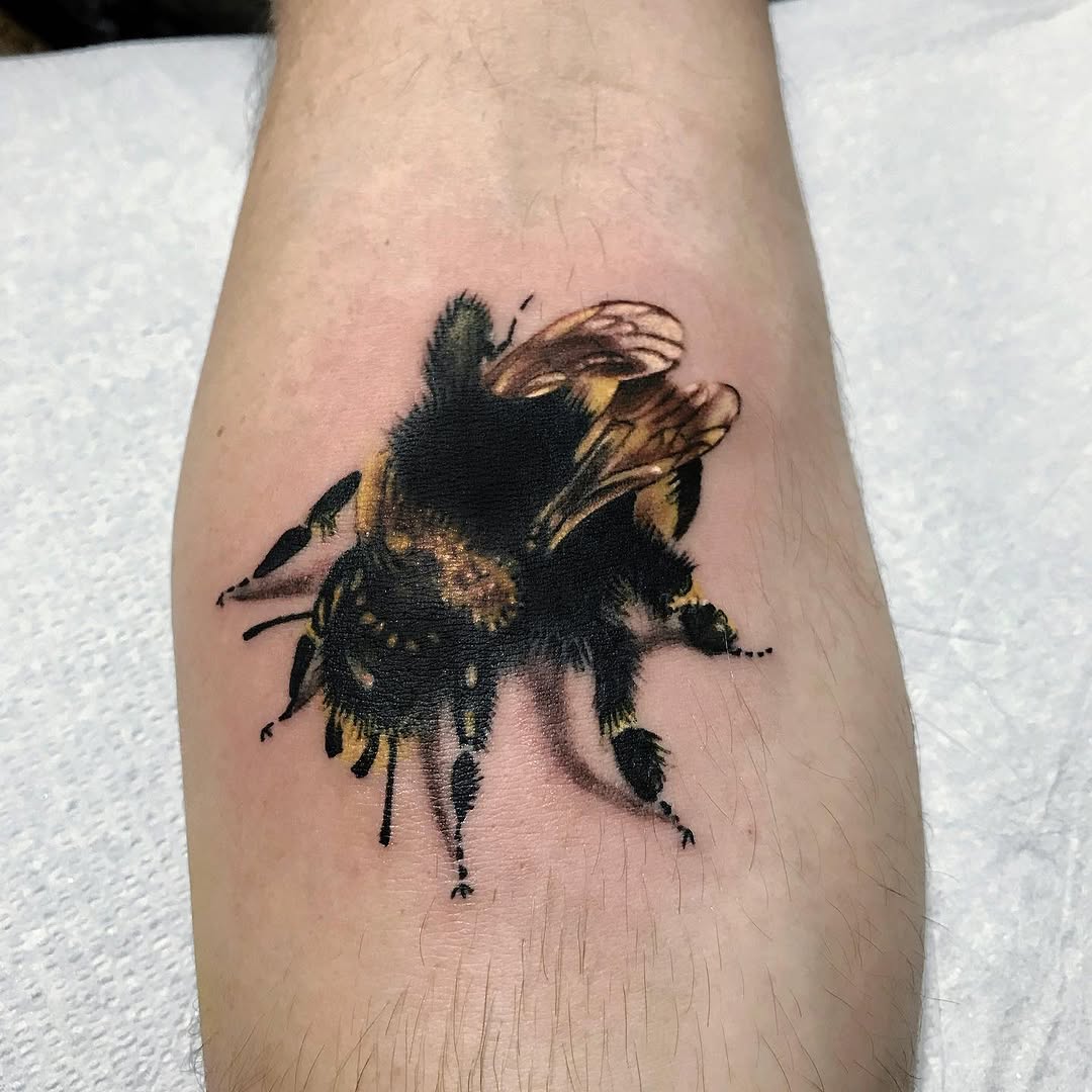 Animal, 벌