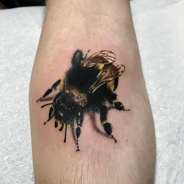 Animal, 벌
