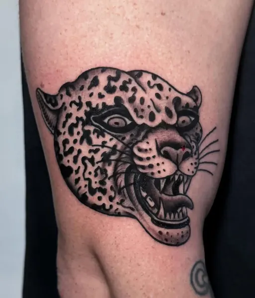 Animal, Tiger, 치타, 표범, 재규어