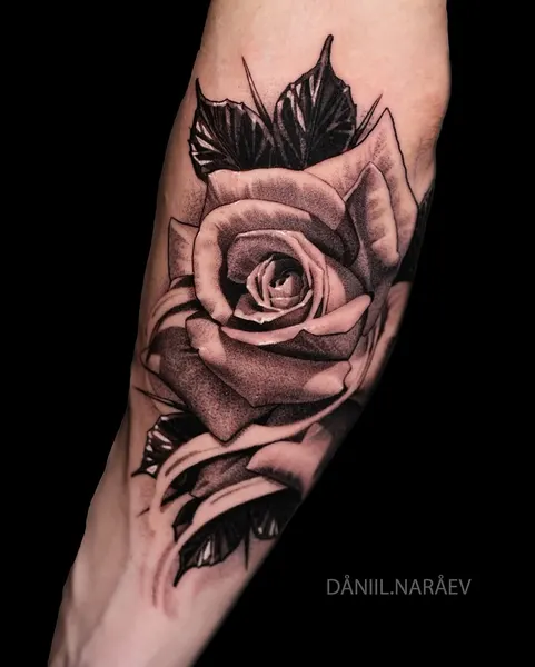 Flower, Rose