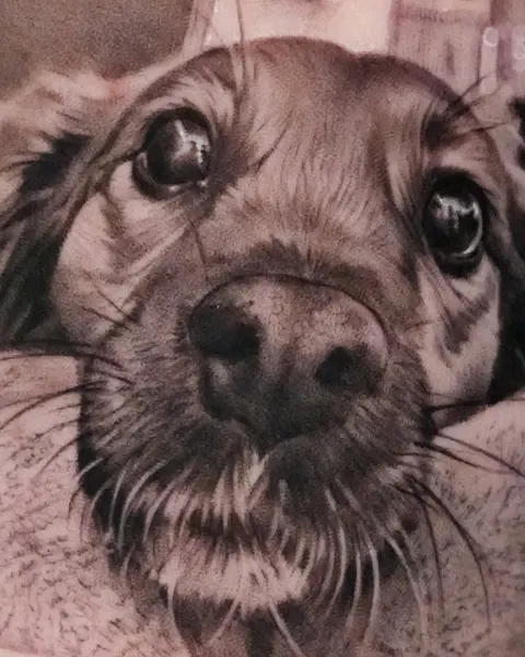 Animal