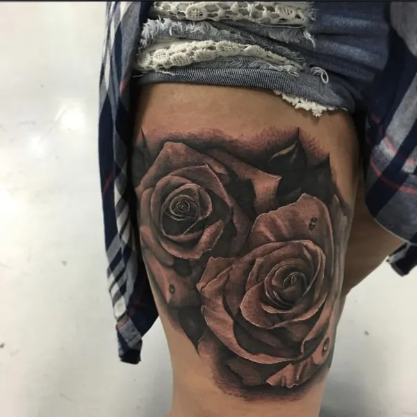 Flower, Rose