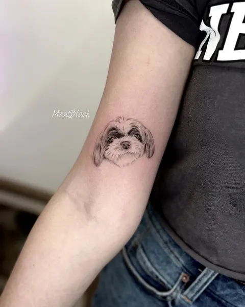 판다