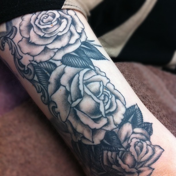 Flower, Rose