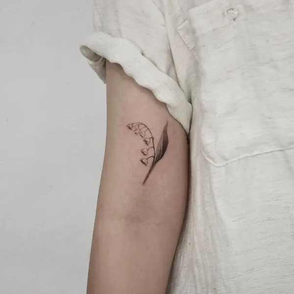 옴, Flower, 잎, 깃털, 잉어, 비대칭, 물고기자리, 미니멀, 실루엣