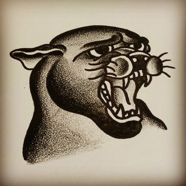 Tiger, Animal